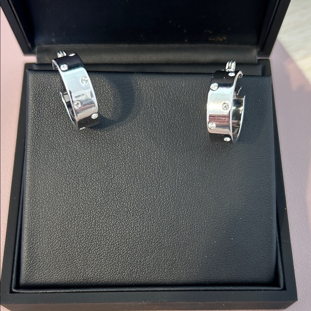 Stainless Steel Hoop Earrings with Crystal Accents